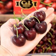 Cherry Đỏ Chile Cherry Xe Dap